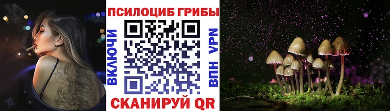 где продают наркотики  Ильский  Галлюциногенные грибы ЛСД 