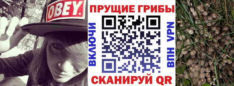 Псилоцибиновые грибы Magic Shrooms Ильский